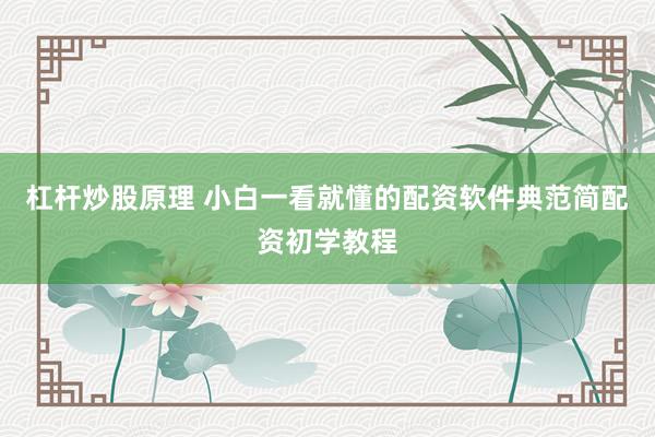 杠杆炒股原理 小白一看就懂的配资软件典范简配资初学教程