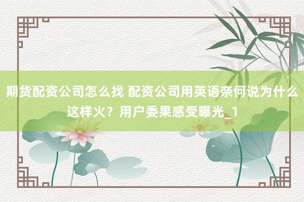 期货配资公司怎么找 配资公司用英语奈何说为什么这样火？用户委果感受曝光_1