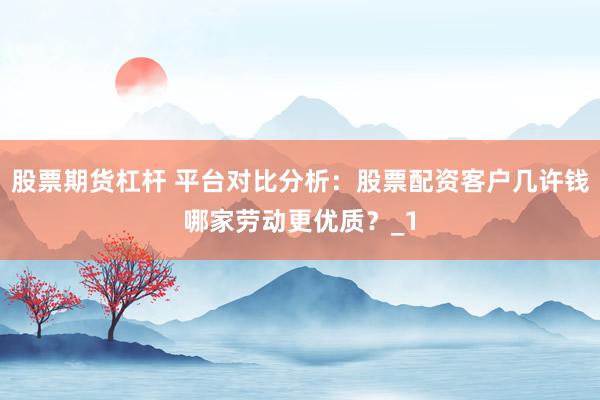 股票期货杠杆 平台对比分析：股票配资客户几许钱哪家劳动更优质？_1