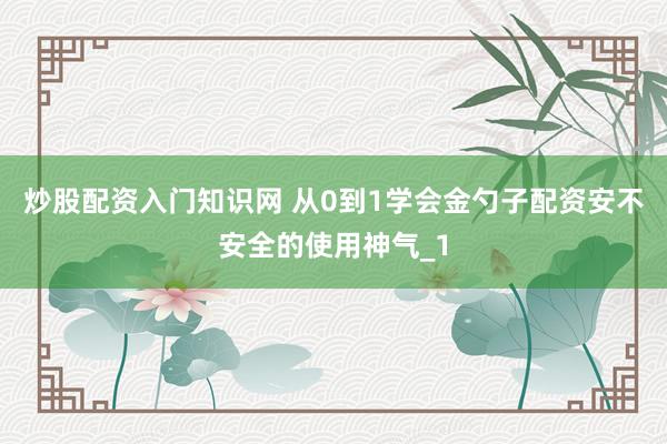 炒股配资入门知识网 从0到1学会金勺子配资安不安全的使用神气_1