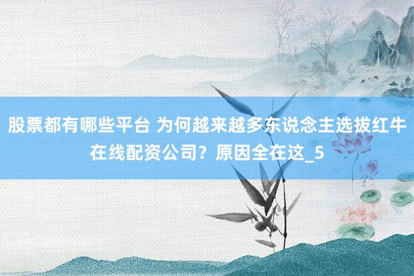 股票都有哪些平台 为何越来越多东说念主选拔红牛在线配资公司？原因全在这_5