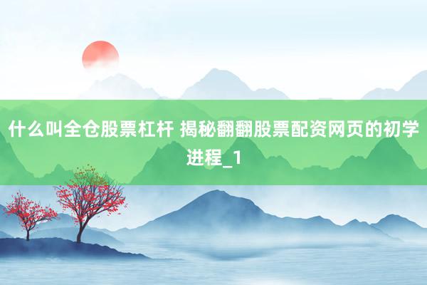 什么叫全仓股票杠杆 揭秘翻翻股票配资网页的初学进程_1