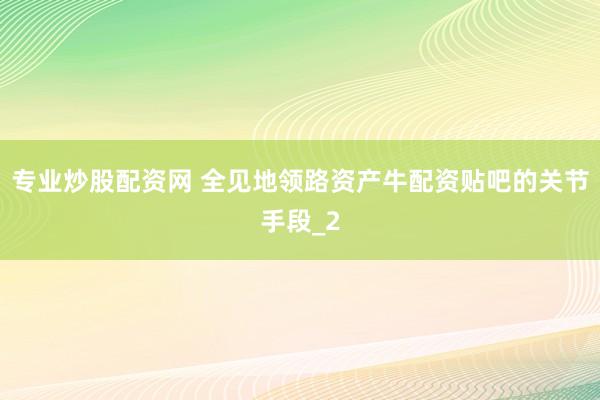 专业炒股配资网 全见地领路资产牛配资贴吧的关节手段_2