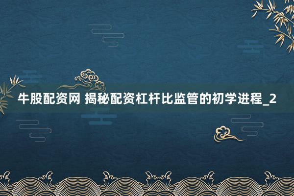 牛股配资网 揭秘配资杠杆比监管的初学进程_2