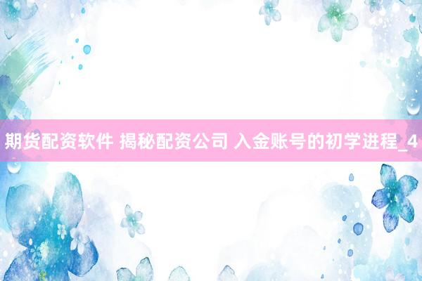 期货配资软件 揭秘配资公司 入金账号的初学进程_4