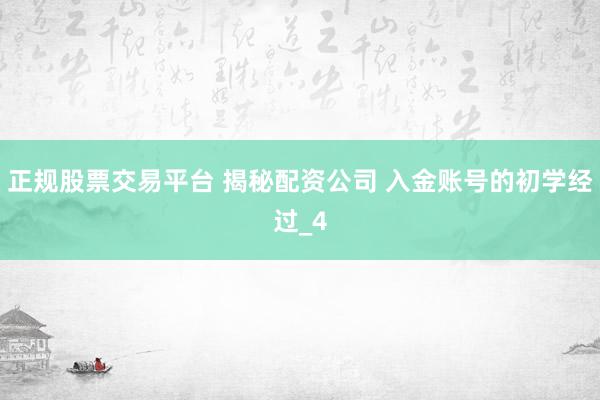正规股票交易平台 揭秘配资公司 入金账号的初学经过_4
