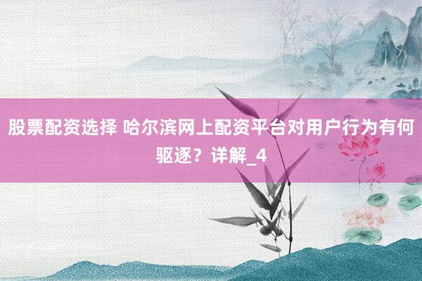 股票配资选择 哈尔滨网上配资平台对用户行为有何驱逐？详解_4