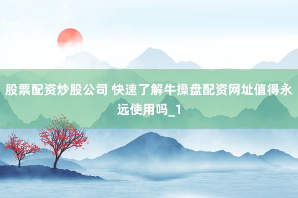 股票配资炒股公司 快速了解牛操盘配资网址值得永远使用吗_1