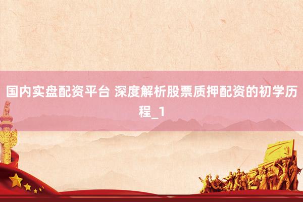 国内实盘配资平台 深度解析股票质押配资的初学历程_1