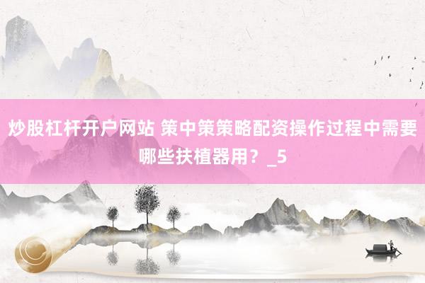 炒股杠杆开户网站 策中策策略配资操作过程中需要哪些扶植器用？_5