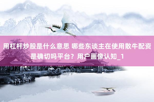 用杠杆炒股是什么意思 哪些东谈主在使用散牛配资是确切吗平台？用户画像认知_1