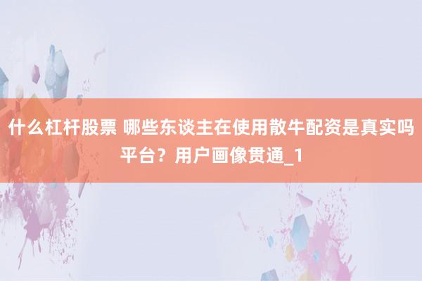 什么杠杆股票 哪些东谈主在使用散牛配资是真实吗平台？用户画像贯通_1