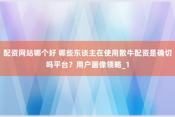 配资网站哪个好 哪些东谈主在使用散牛配资是确切吗平台？用户画像领略_1