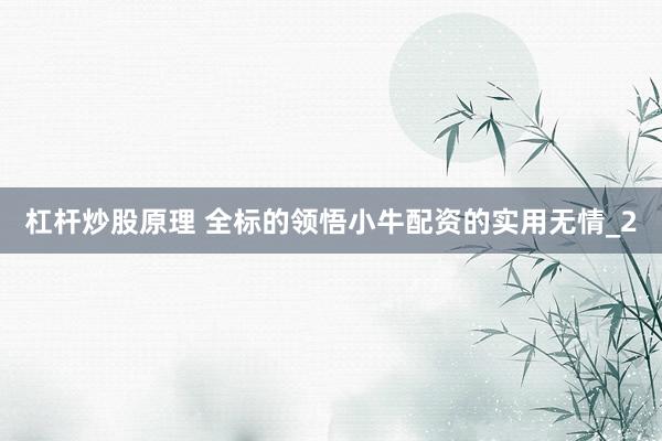 杠杆炒股原理 全标的领悟小牛配资的实用无情_2