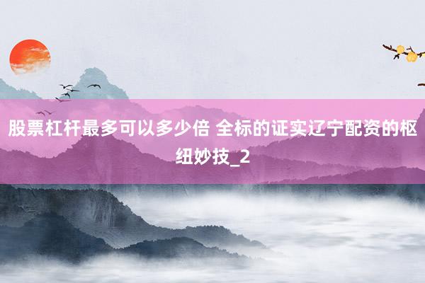 股票杠杆最多可以多少倍 全标的证实辽宁配资的枢纽妙技_2