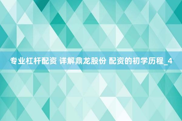 专业杠杆配资 详解鼎龙股份 配资的初学历程_4