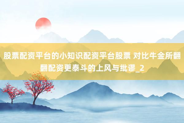 股票配资平台的小知识配资平台股票 对比牛金所翻翻配资更泰斗的上风与纰谬_2