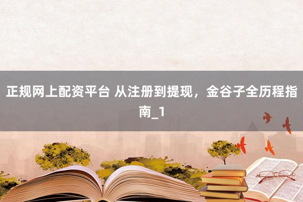 正规网上配资平台 从注册到提现，金谷子全历程指南_1