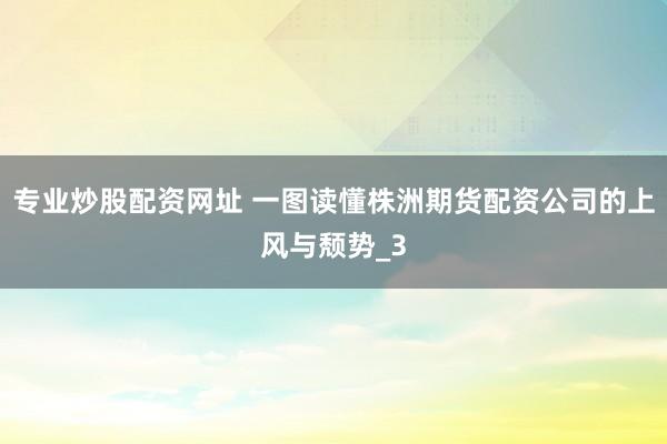 专业炒股配资网址 一图读懂株洲期货配资公司的上风与颓势_3
