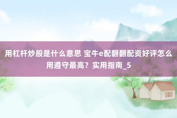 用杠杆炒股是什么意思 宝牛e配翻翻配资好评怎么用遵守最高？实用指南_5