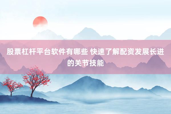 股票杠杆平台软件有哪些 快速了解配资发展长进的关节技能