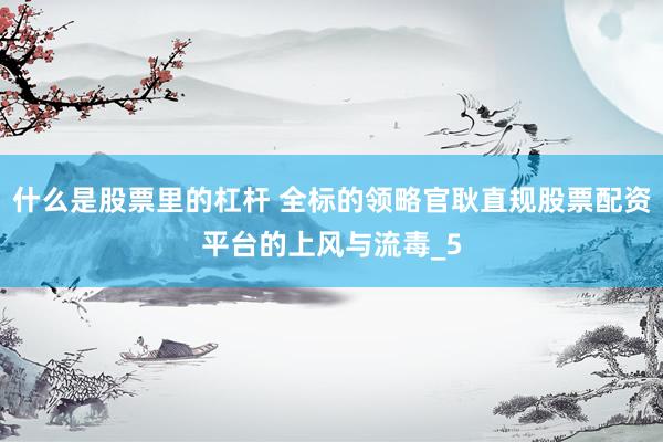 什么是股票里的杠杆 全标的领略官耿直规股票配资平台的上风与流毒_5