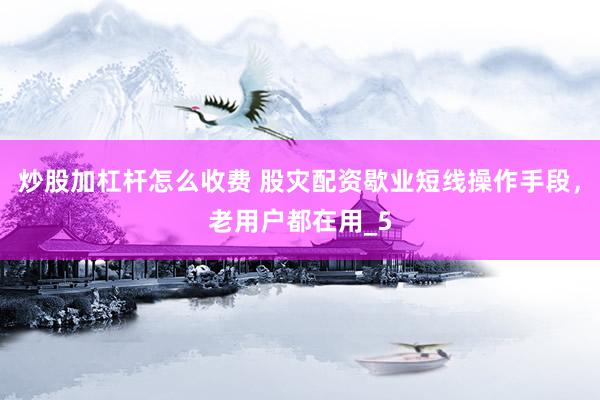 炒股加杠杆怎么收费 股灾配资歇业短线操作手段，老用户都在用_5